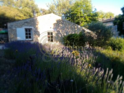 Exceptionnelle Demeure du XVIII°et son Domaine agricole