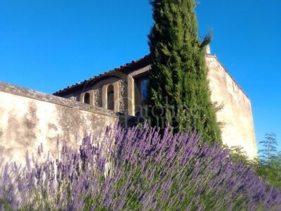 Exceptionnelle Demeure du XVIII°et son Domaine agricole