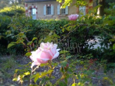 Exceptionnelle Demeure du XVIII°et son Domaine agricole