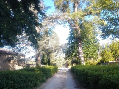 Exceptionnelle Demeure du XVIII°et son Domaine agricole