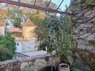 Exceptionnelle Demeure du XVIII°et son Domaine agricole