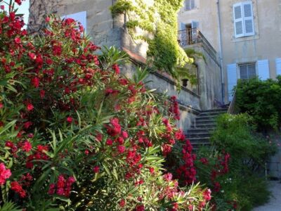 Exceptionnelle Demeure du XVIII°et son Domaine agricole