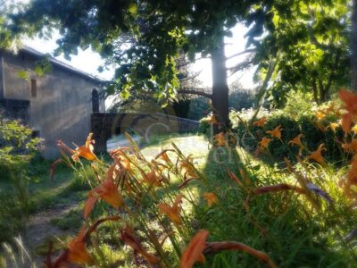 Exceptionnelle Demeure du XVIII°et son Domaine agricole