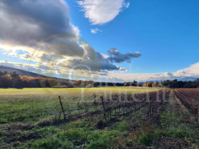 Exceptionnelle Demeure du XVIII°et son Domaine agricole