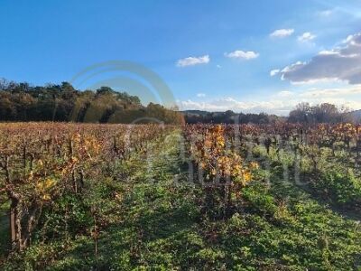 Exceptionnelle Demeure du XVIII°et son Domaine agricole