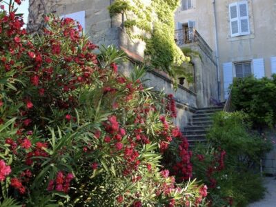 Exceptionnelle Demeure du XVIII°et son Domaine agricole