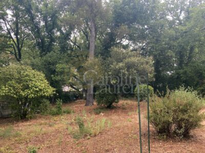 Terrain Constructible - Celony Campagne