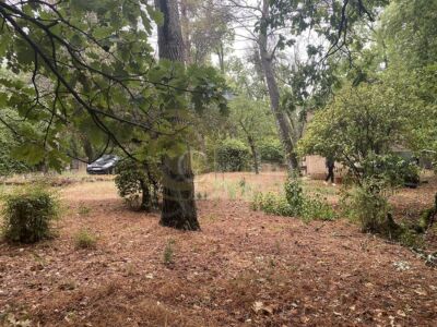 Terrain Constructible - Celony Campagne