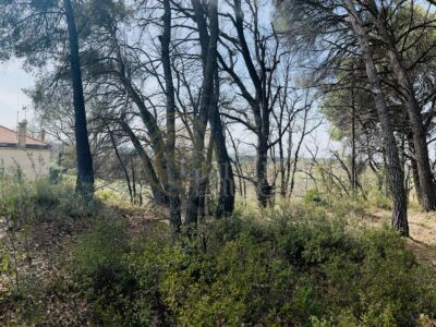 Propriété familiale Lambesc