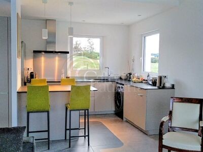 Aix-en-Provence - Les Platanes