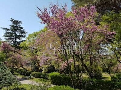 Appartement - 4 pièces avec piscine - Parc de la Torse