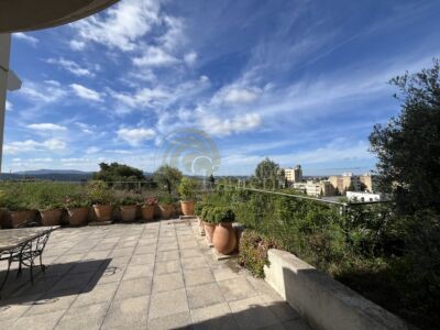 Appartement avec terrasses et jardin