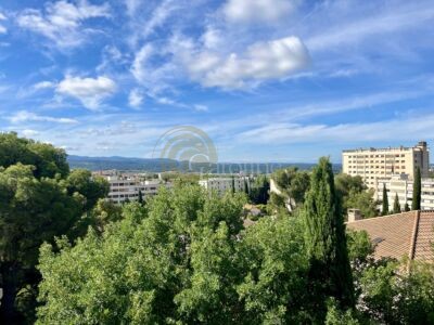 Appartement avec terrasses et jardin