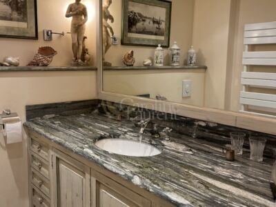 Appartement avec terrasses et jardin